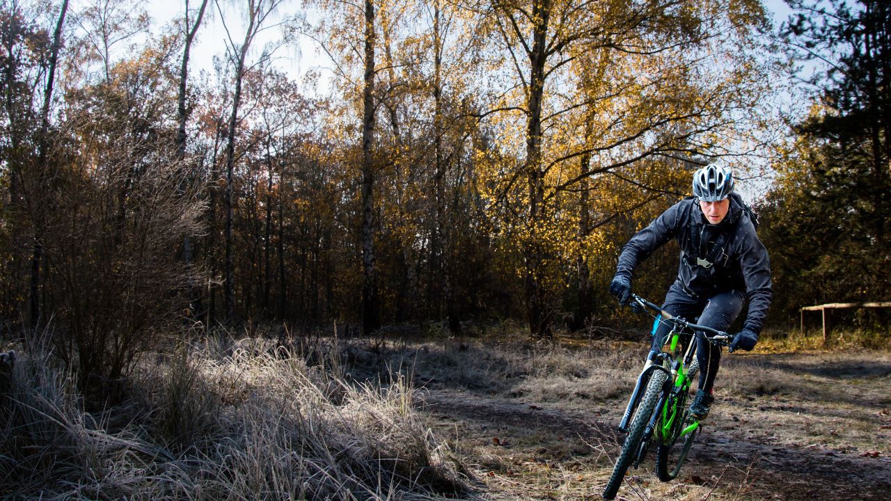 Radtour durch den Berliner Grunewald