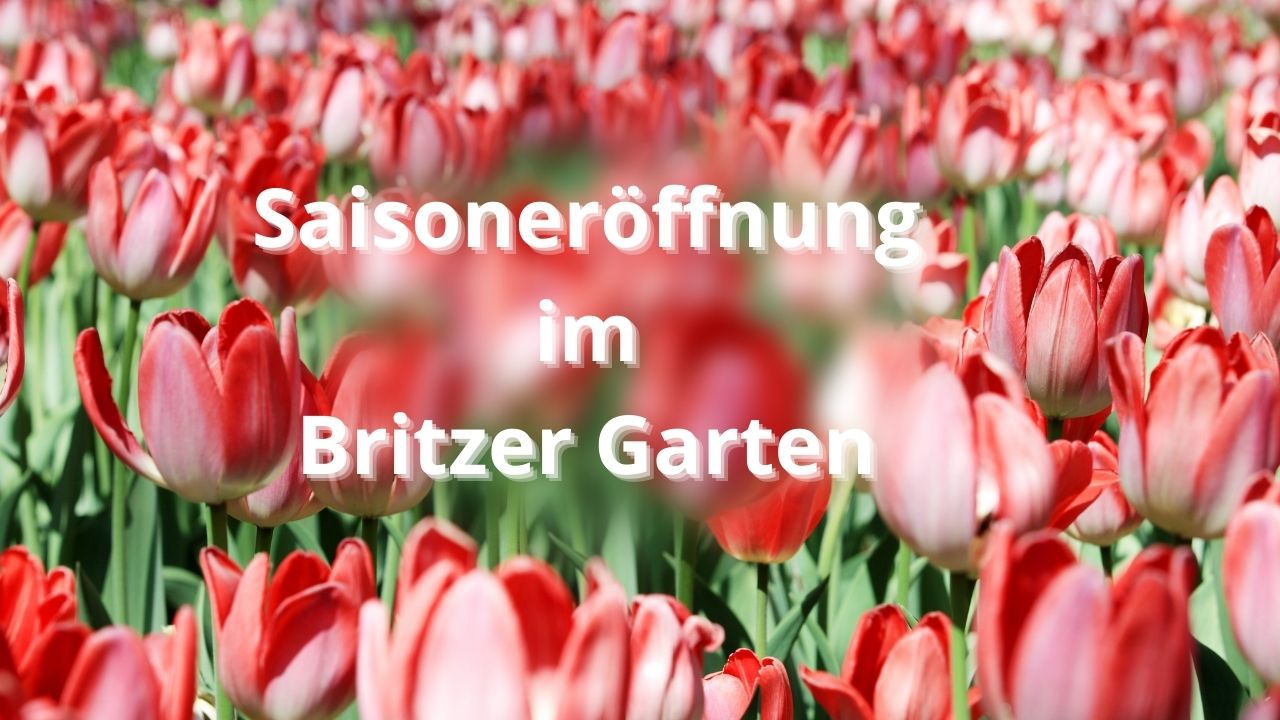 Saisoneröffnung 40 Jahre Britzer Garten