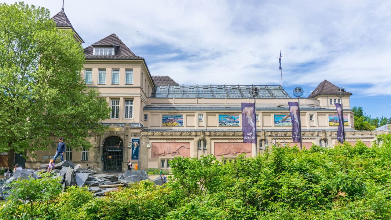 Aquarium in Berlin