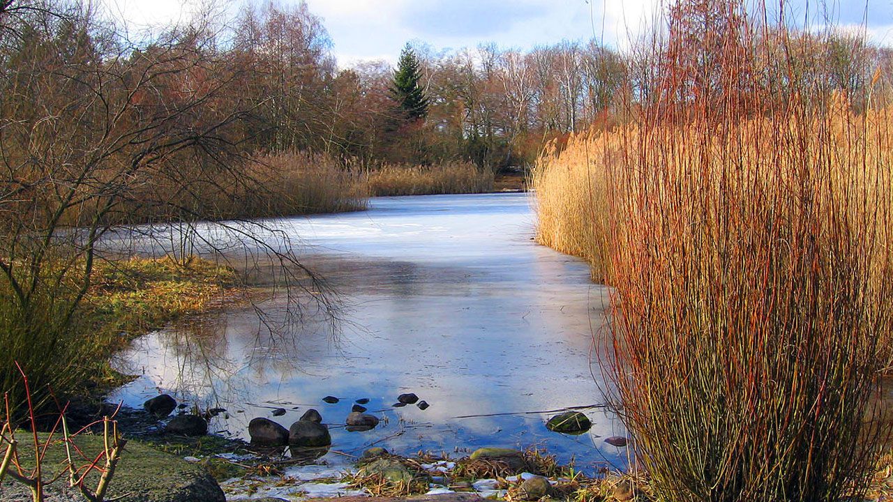 Visit the park Hasenheide in Berlin.