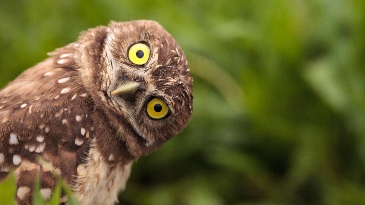 Tierpark Fuerstenwalde