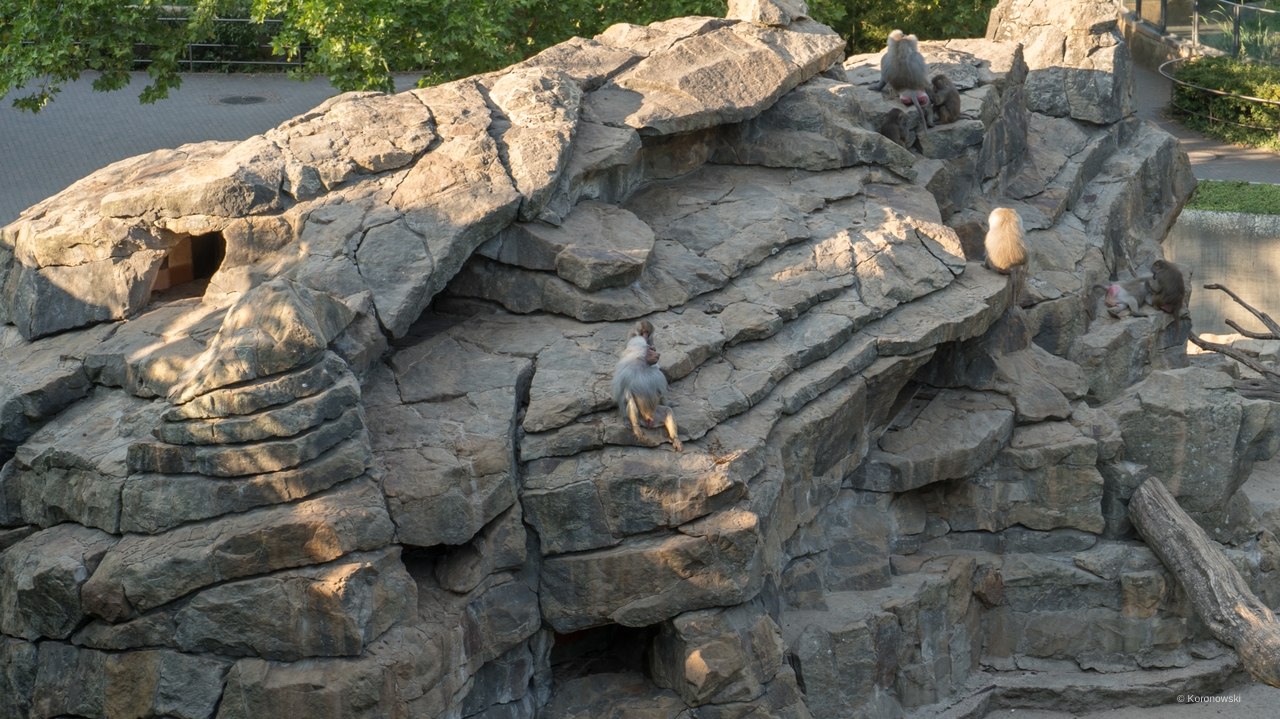 Blick auf den Affenfelsen