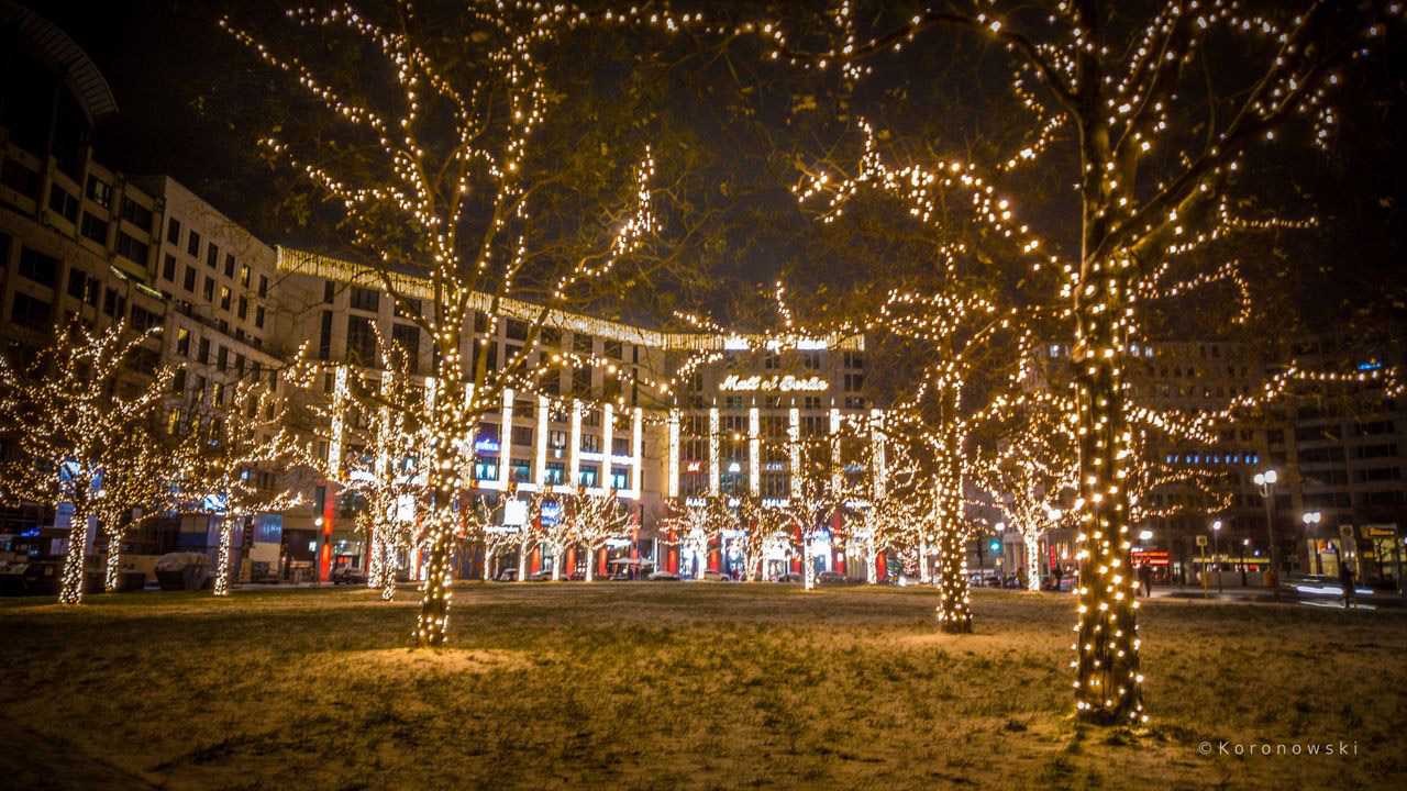 Stadtrundfahrt Weihnachten Berlin4