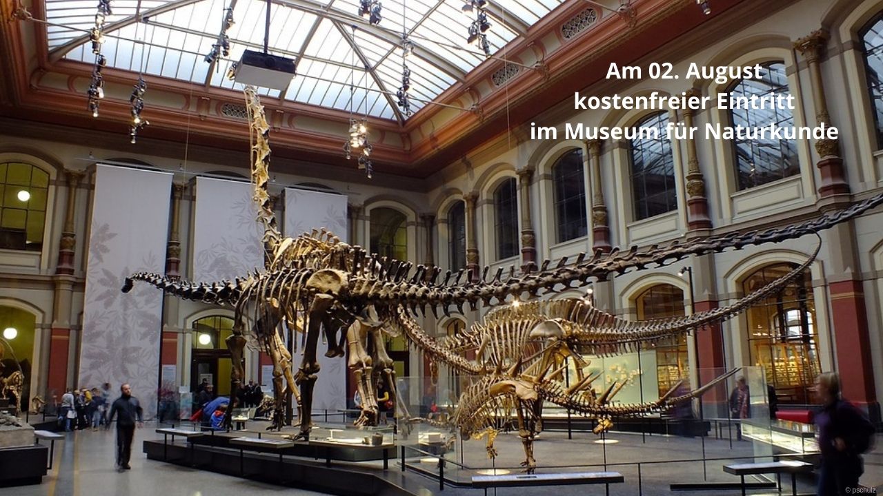 kostenfreier Eintritt im Museum für Naturkunde