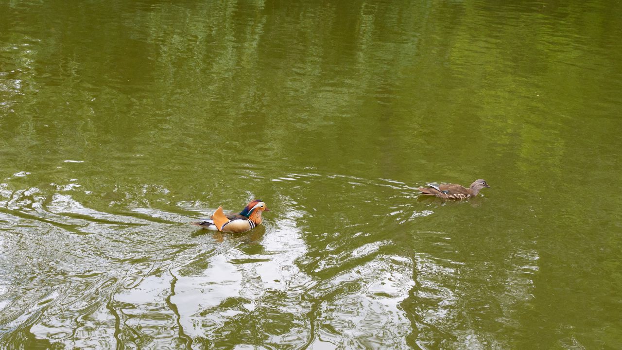 Volkspark Friedrichshain Berlin1