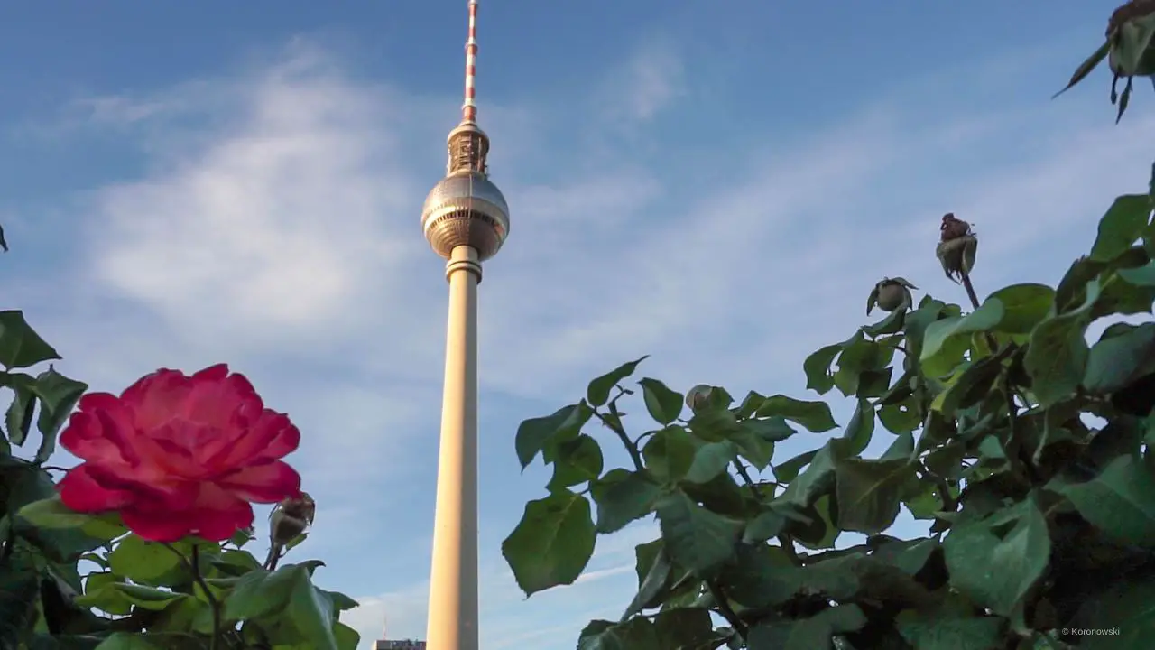 Der Fernsehturm in Berlin gehört zu den TOP 10 Sehenswürdigkeiten der Stadt.
