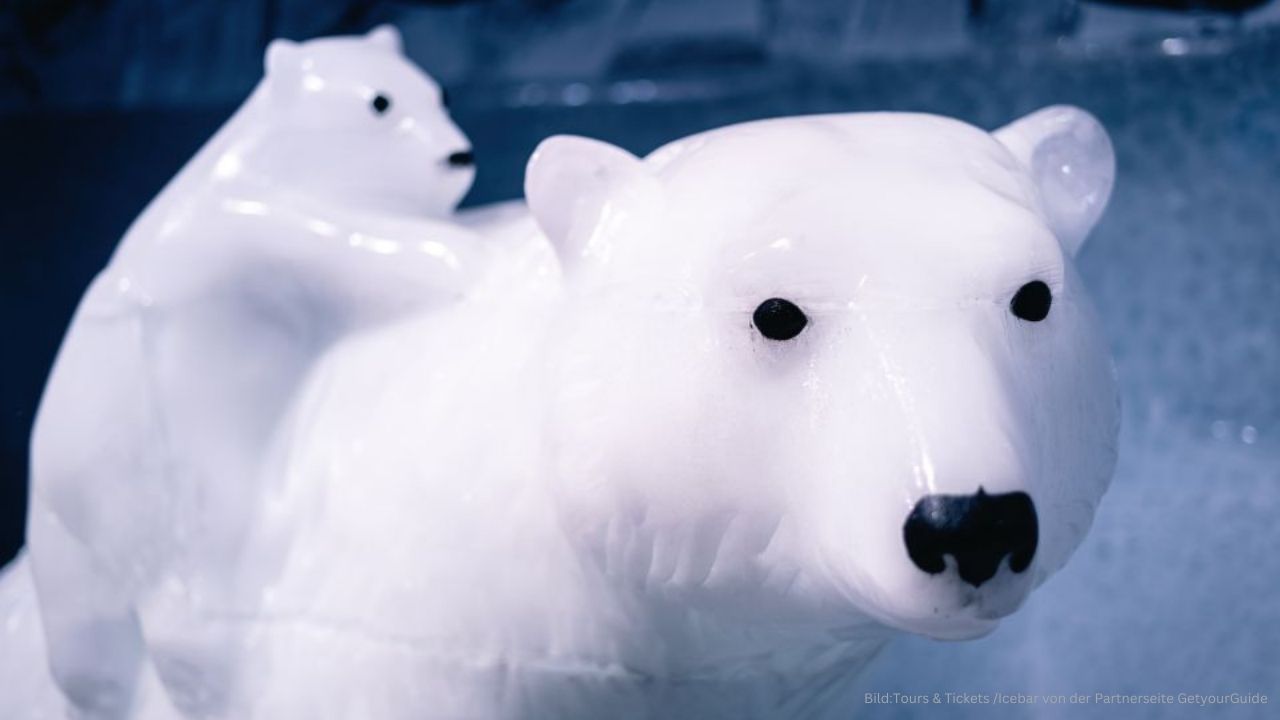 Icebar in Berlin4