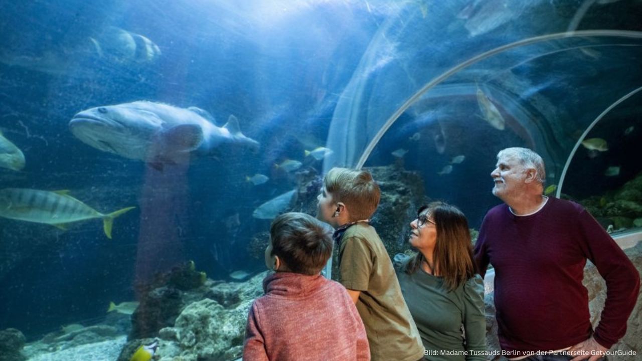 Kombiticket Madame Tussauds und SEA LIFE1