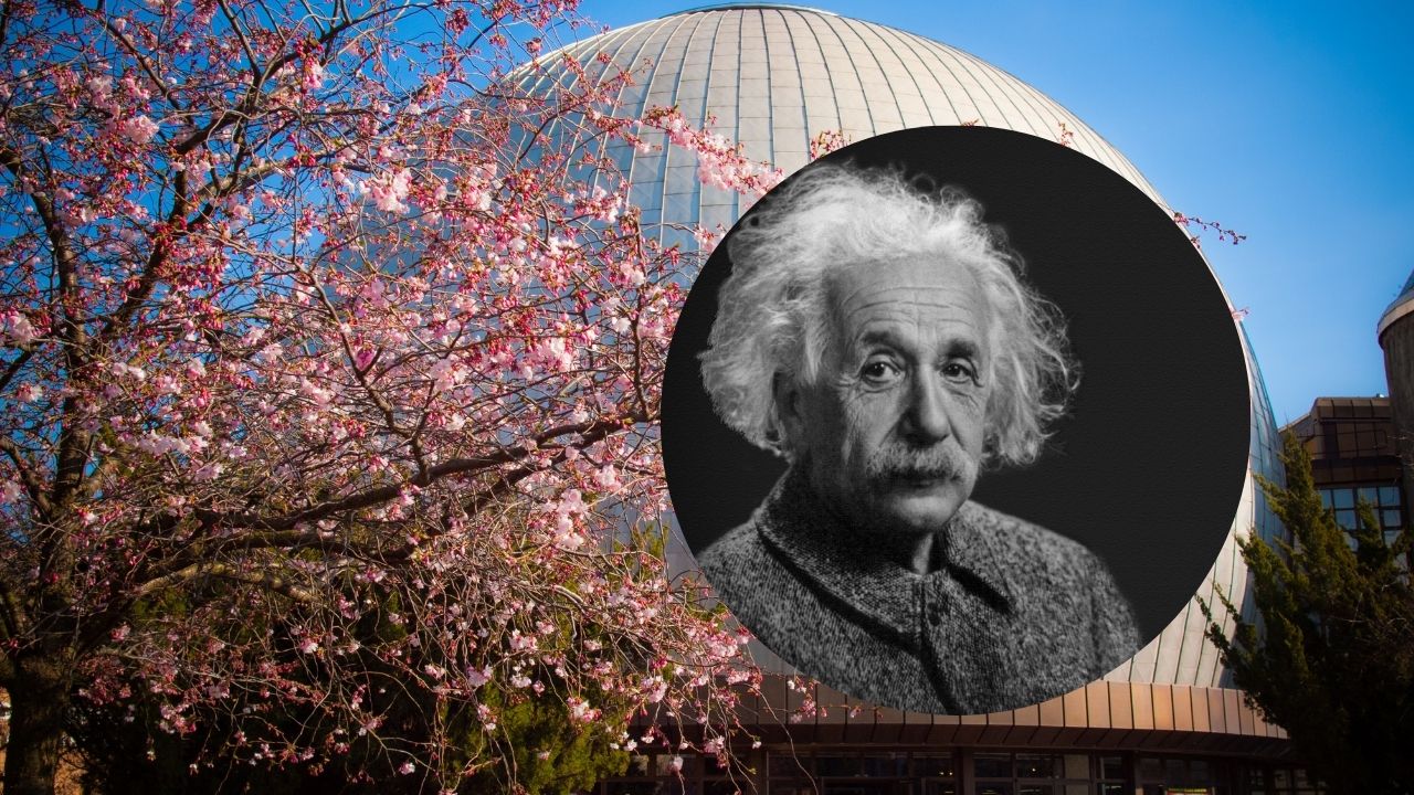 Albert Einstein