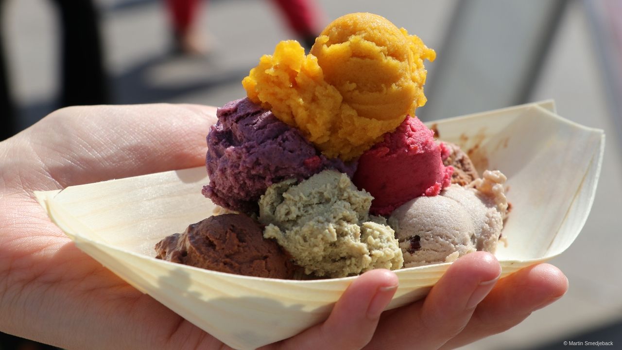 Veganes Sommerfest Berlin2