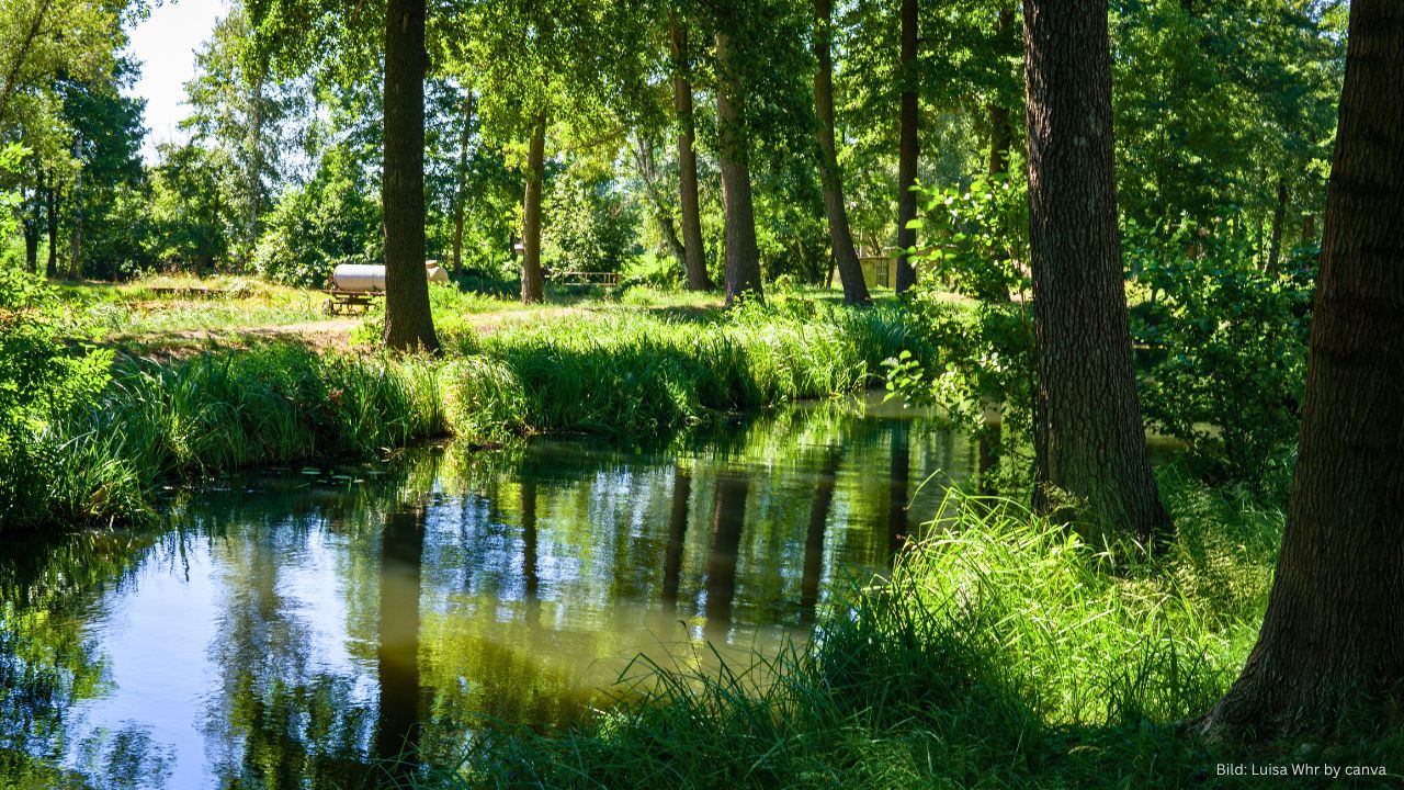 Impressionen im Spreewald