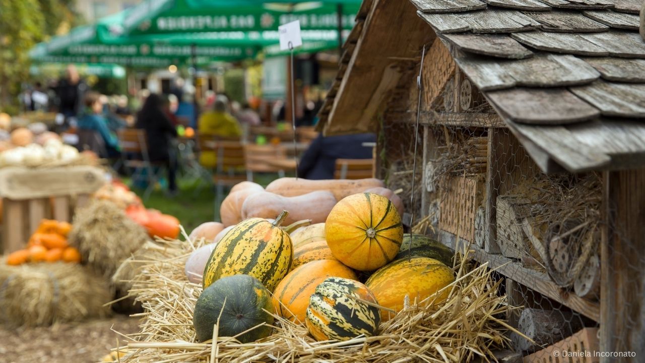 30. Traditionsfest in den Späth'schen Baumschulen