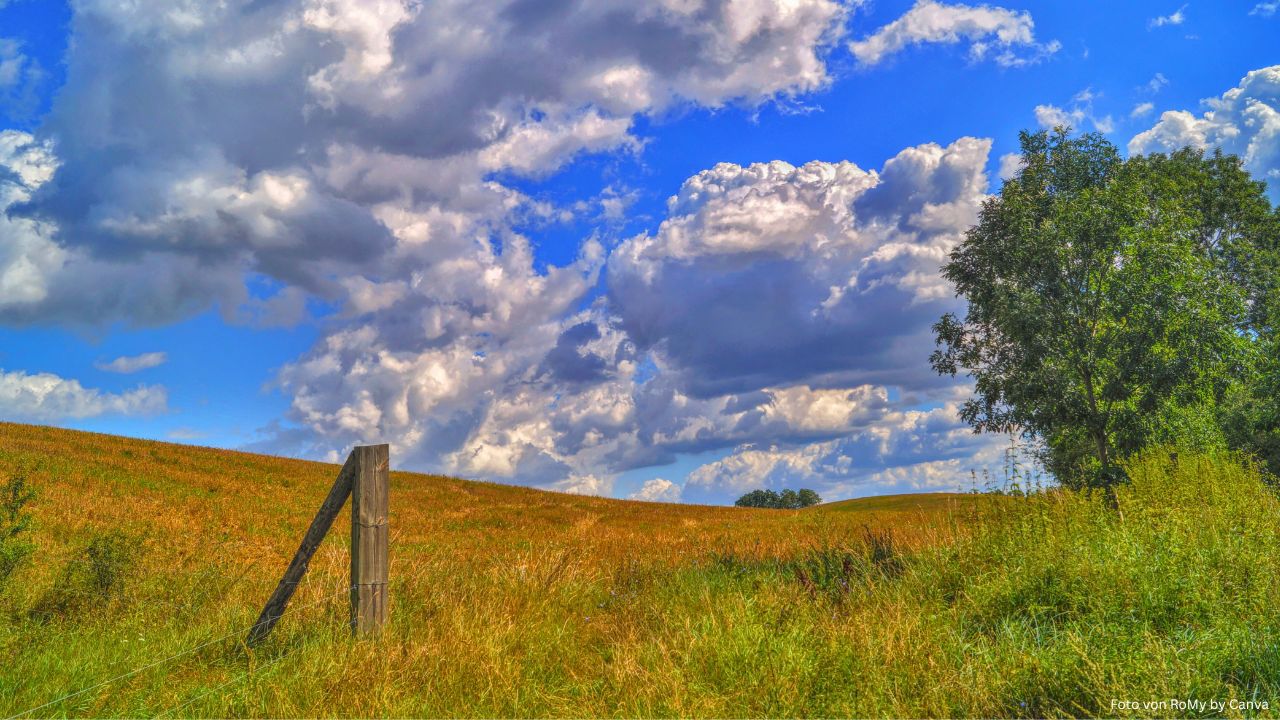 Biosphärenreservat Schorfheide-Chorin