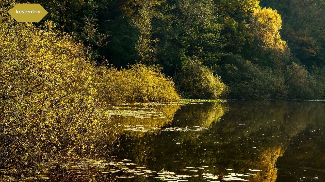 Spaziergang Teufelssee