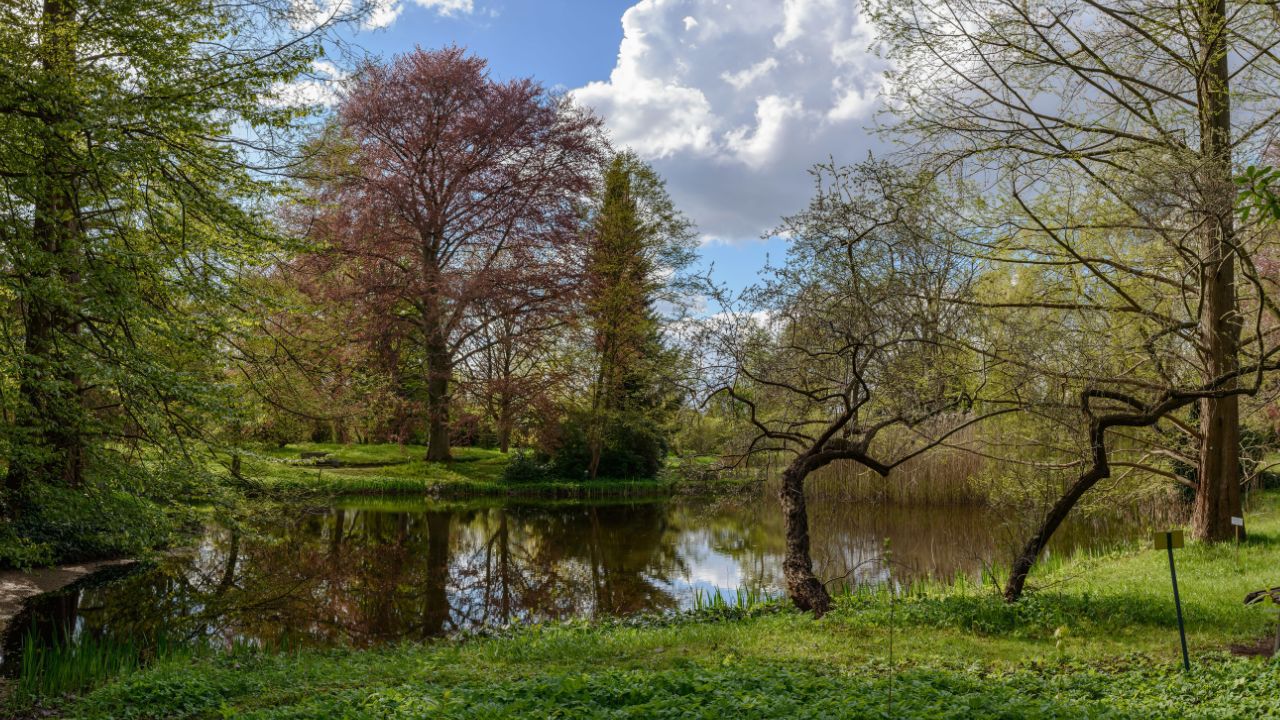 Späth-Arboretum