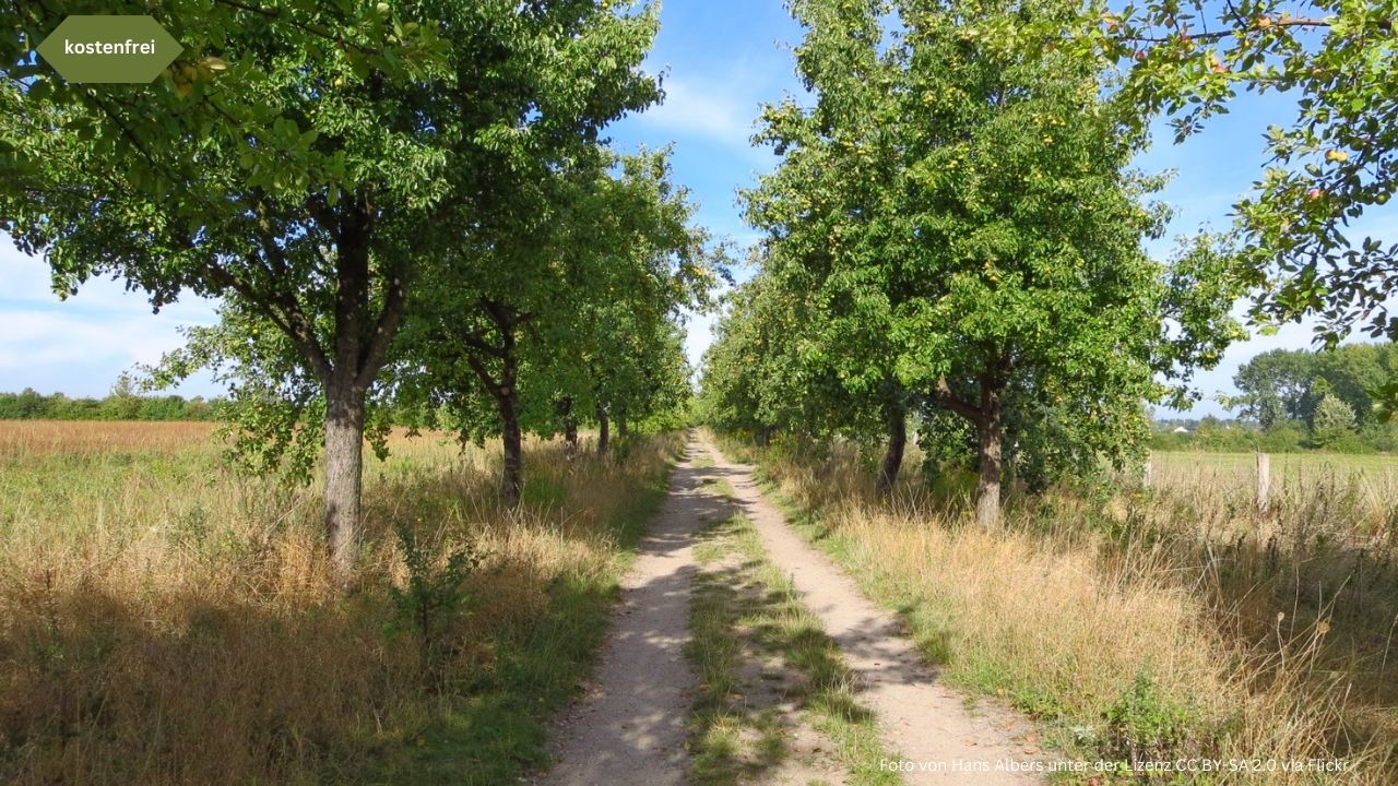 Spaziergänge durch Berlin