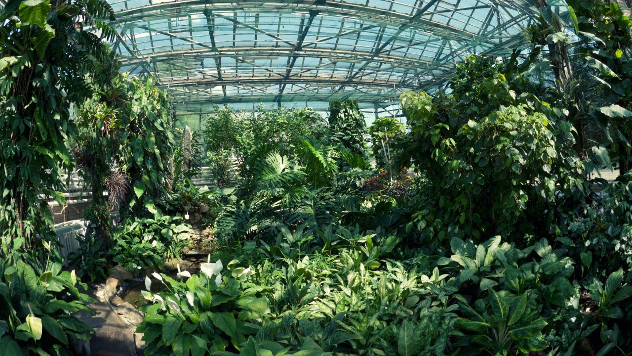 Botanischer Garten