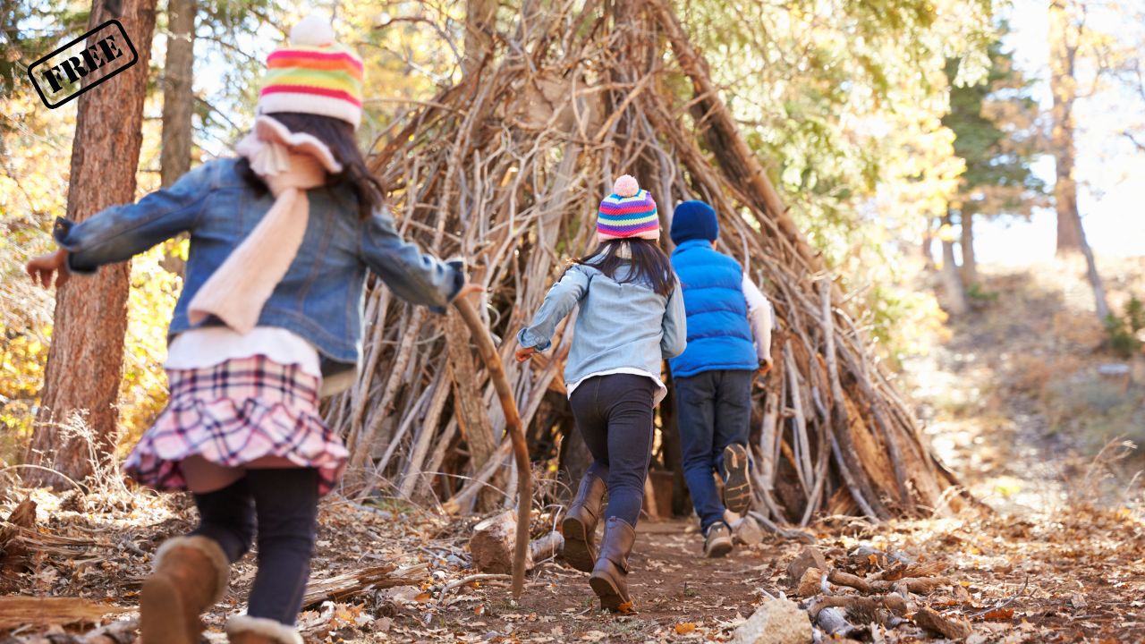 Familienangebot: Natur spielerisch entdecken