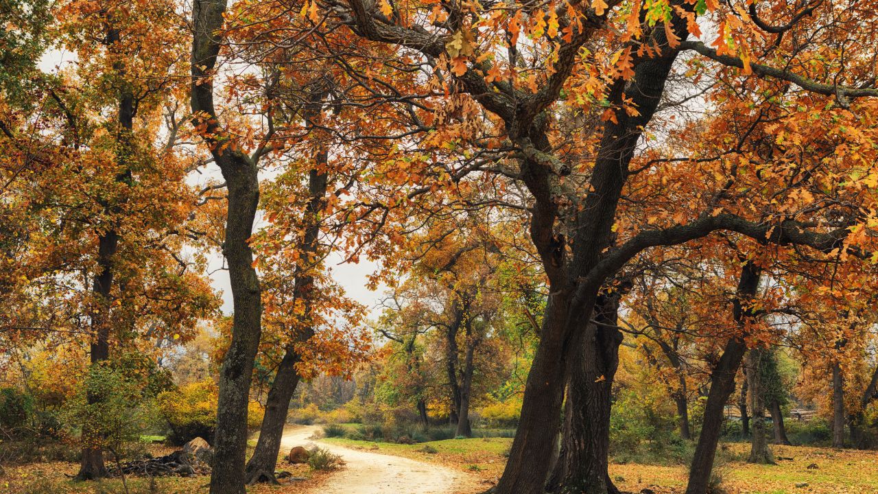 herbstliche Wanderung