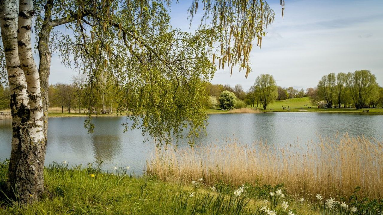 Besuchen Sie die Veranstaltung StadtNatur in Berlin.