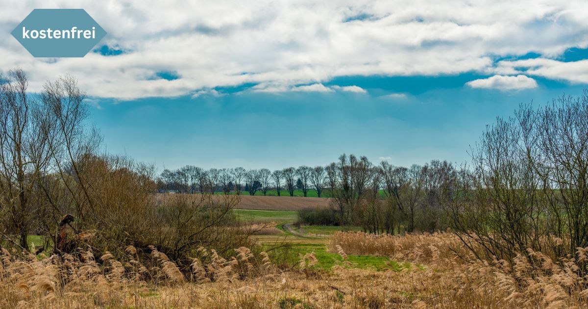 Wanderung Unteres Tegeler Fließ