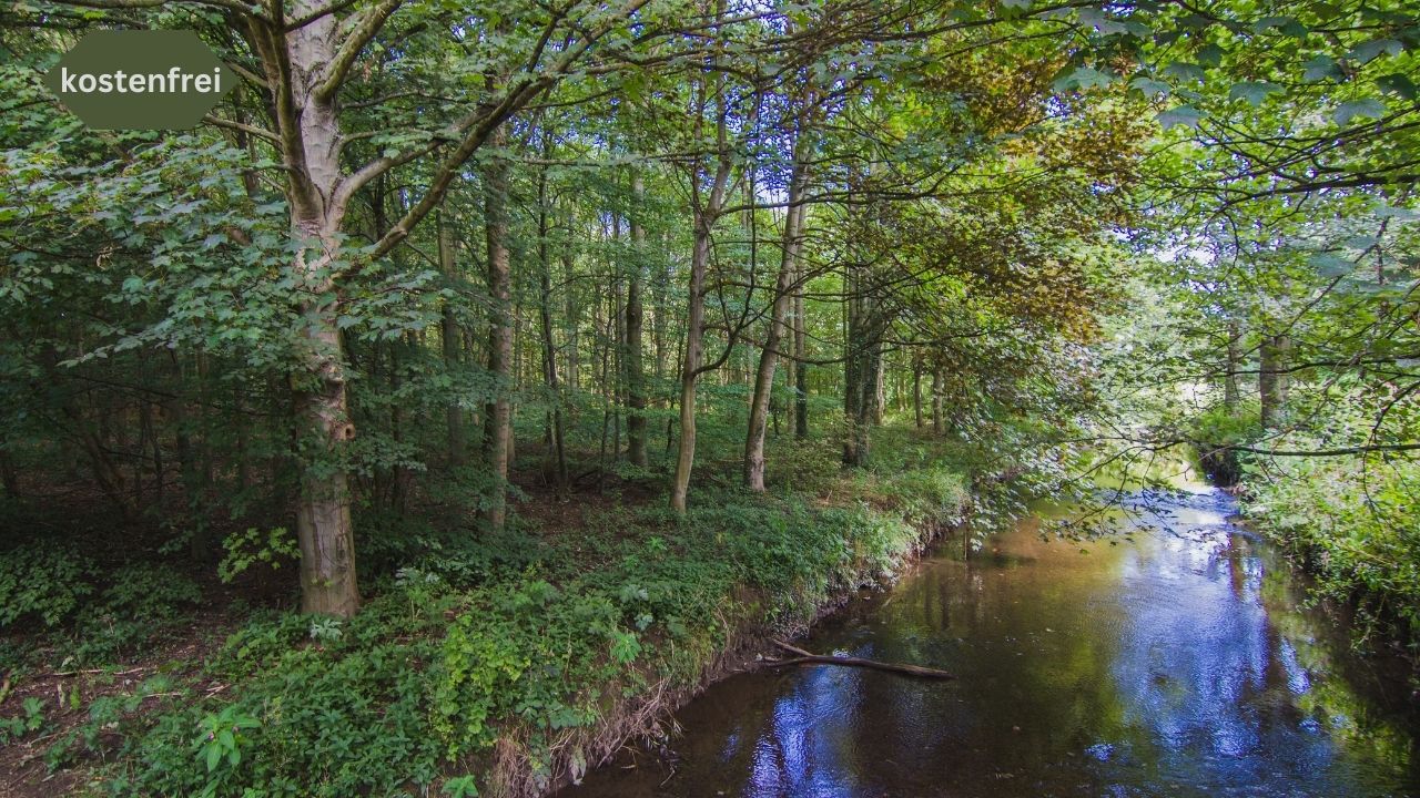 Naturschutzgebiet "Krumme Lake"