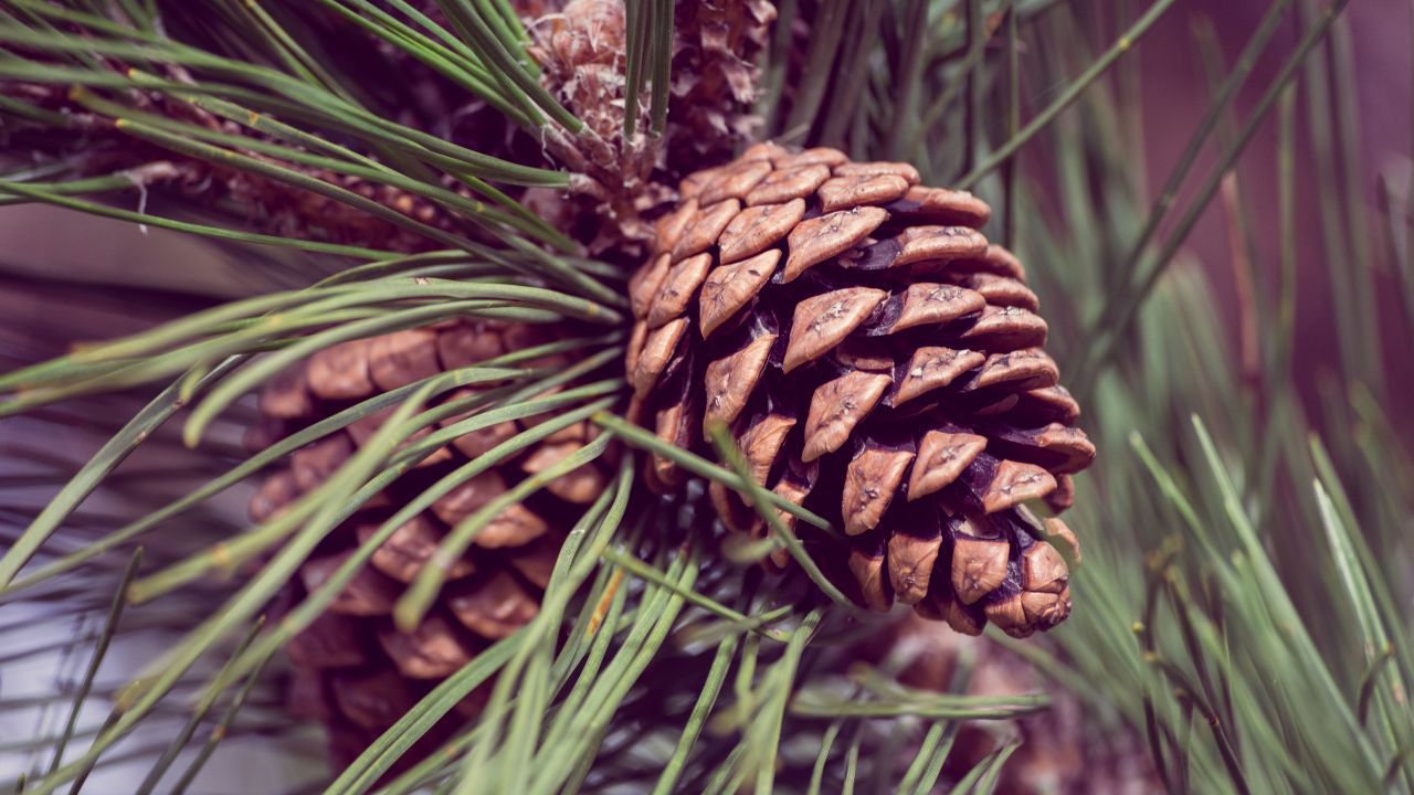 Workshop - Fit durch den Winter