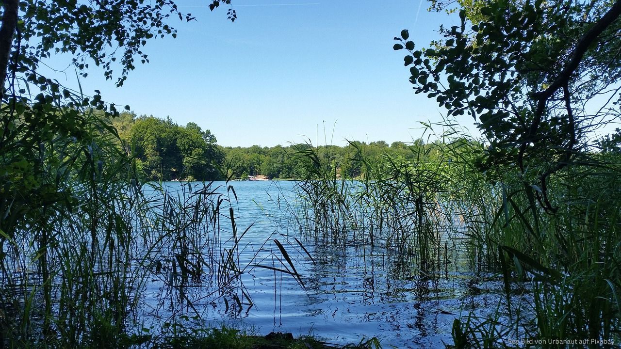 Radwanderung durch Lichtenberger Wasserwelten