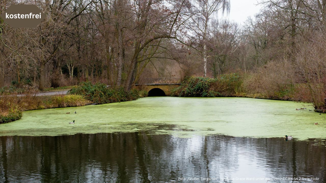 Der Große Tiergarten