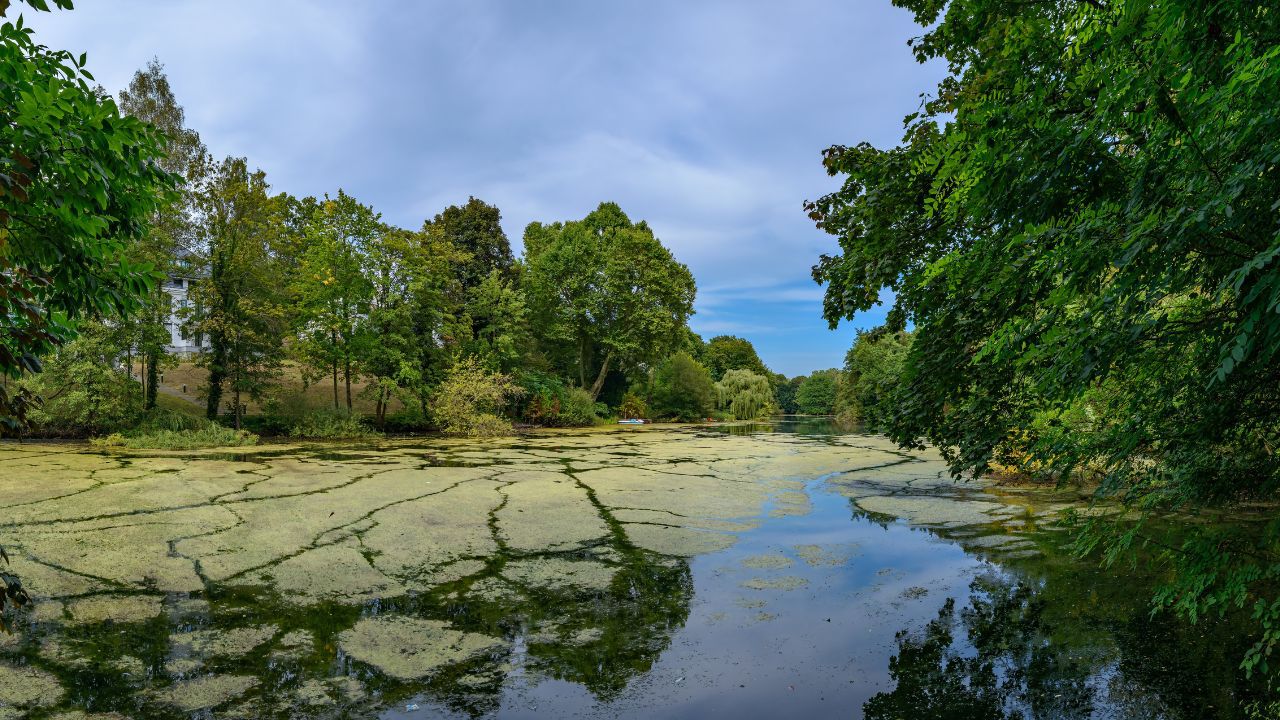 Spaziergang Grunewald