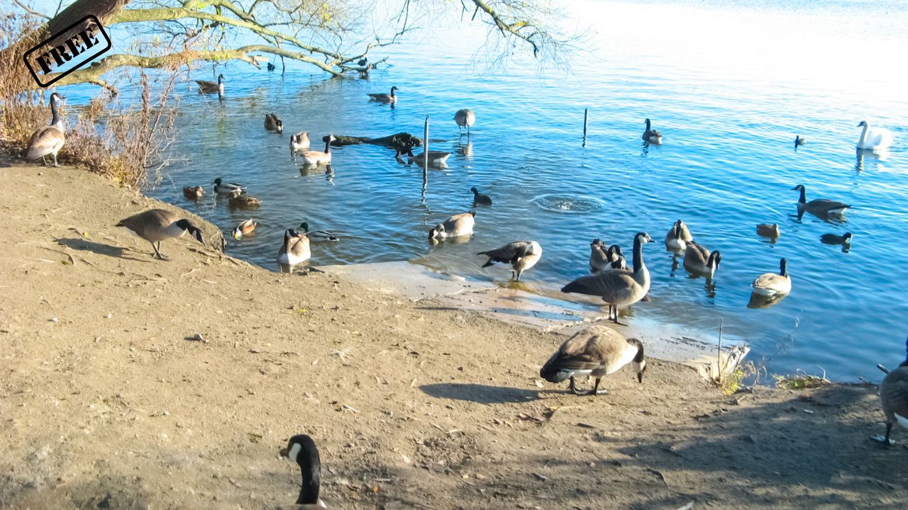 Wanderung am Tegeler See