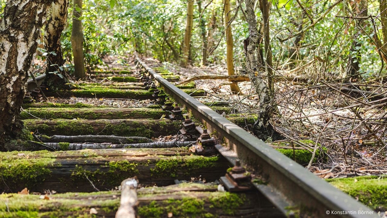 Natur Park Südgelände - Wilde Stadtnatur 