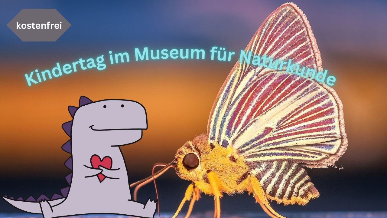 Kindertag im Museum für Naturkunde