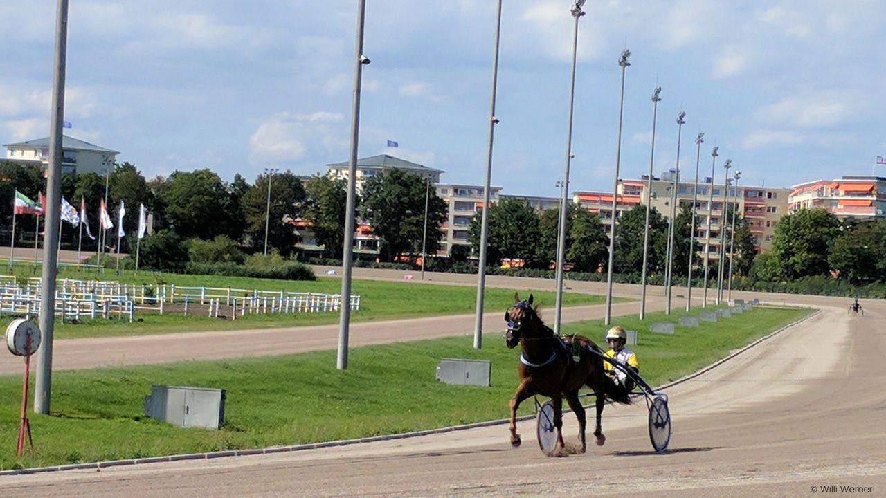 Trabrennbahn Mariendorf in Berlin