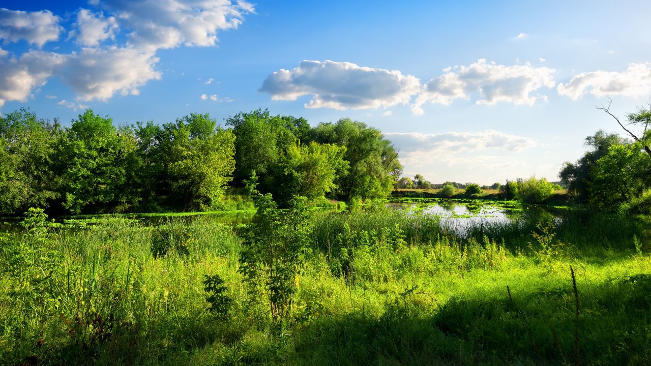 Wandern in Berlin und Umgebung