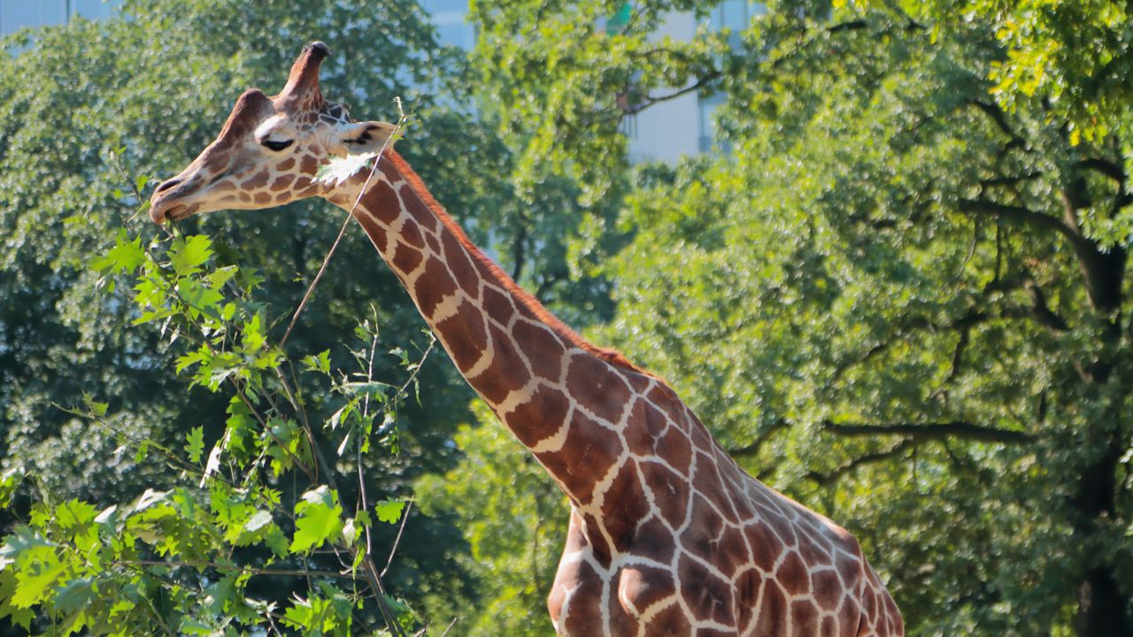 Tierpark Berlin