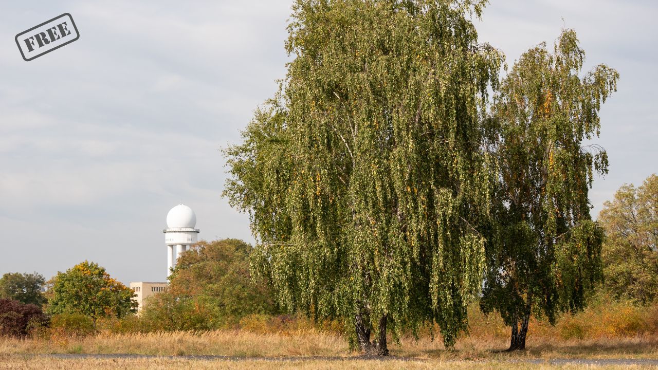 Tempelhofer Feld Führung