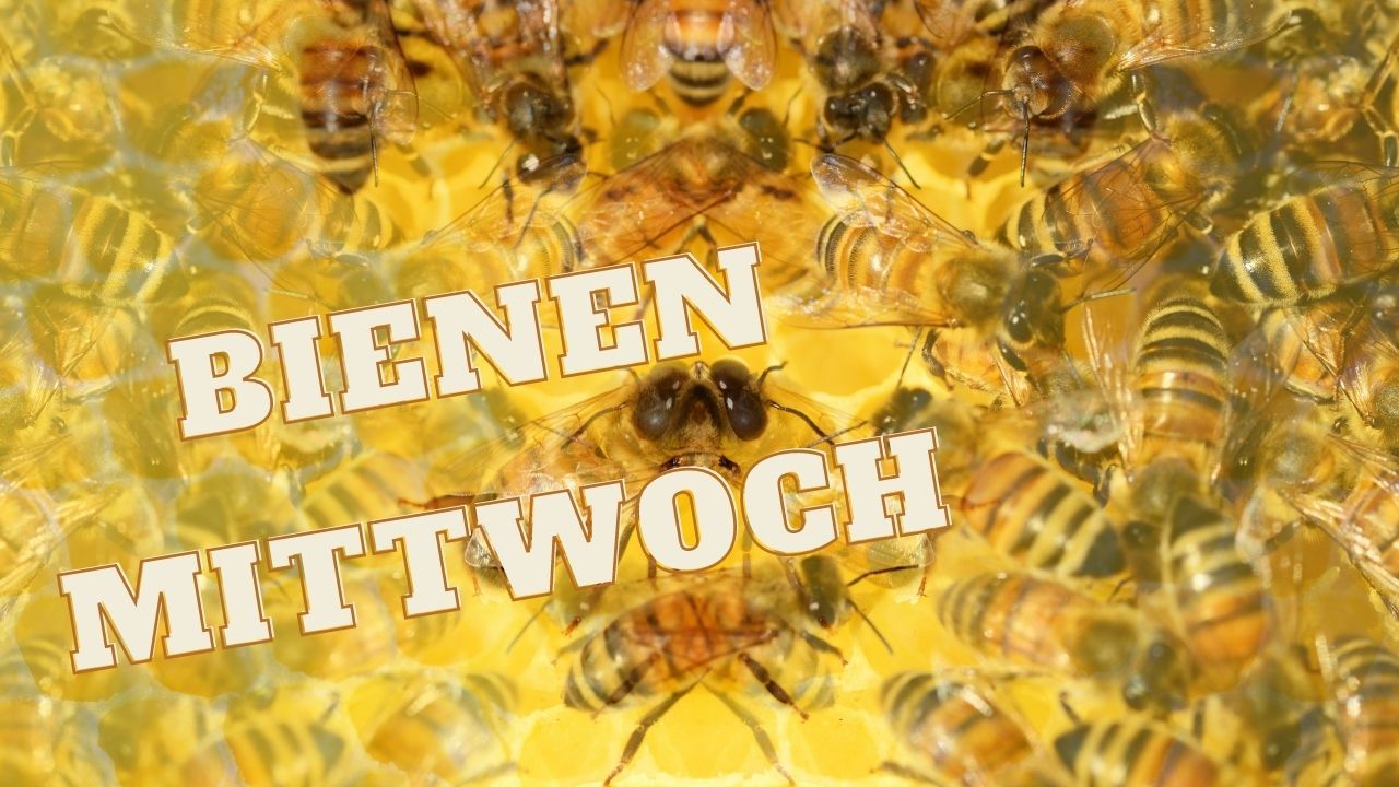 Bienen-Mittwoch