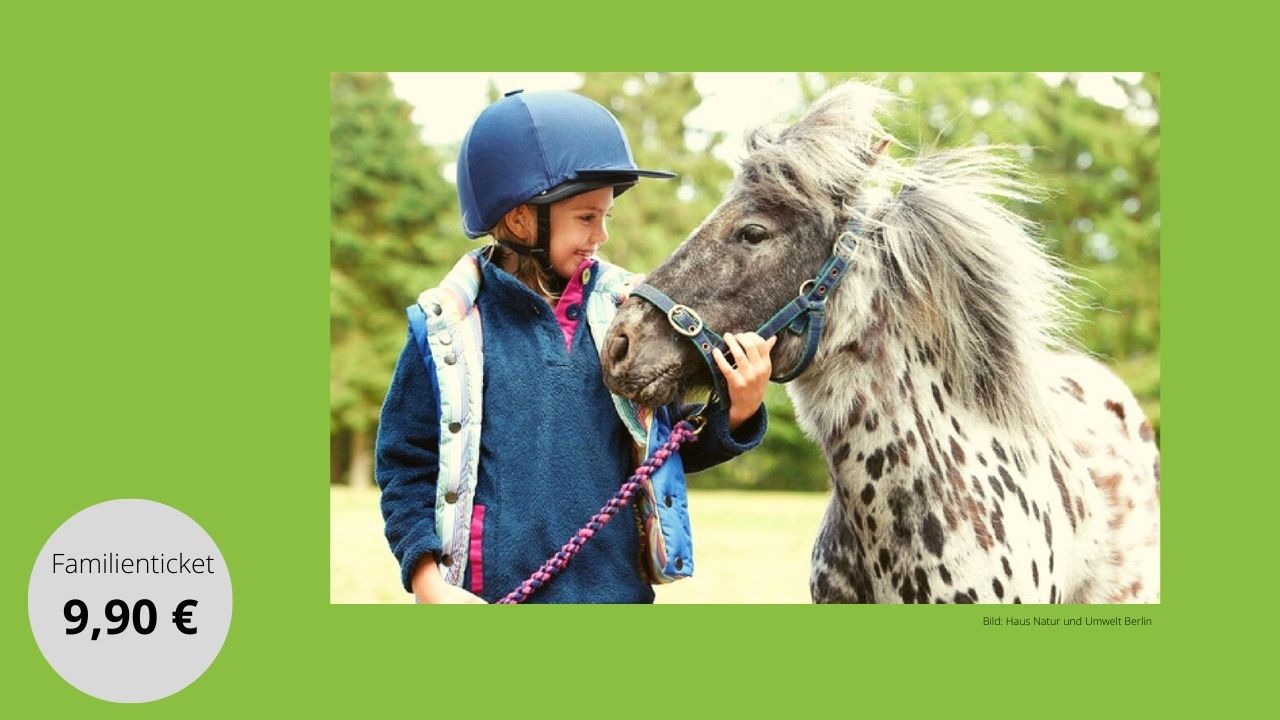 Berlin: Familienticket, Pony reiten & Eis für 9,50 €