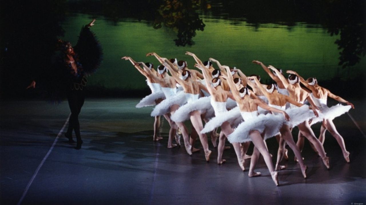 Besuchen Sie das Familienballett Schwanensee in Berlin.