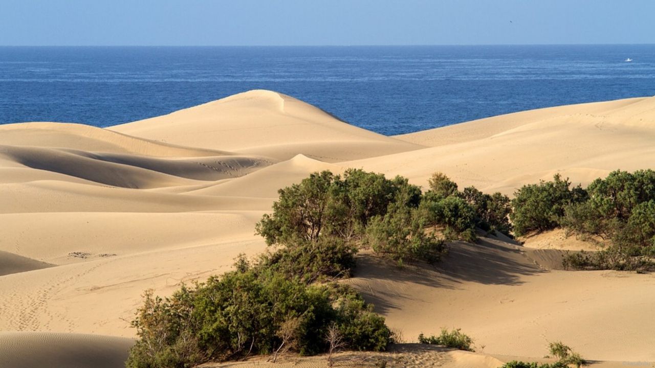 Kanaren zum Schnäppchenpreis: Gran Canaria