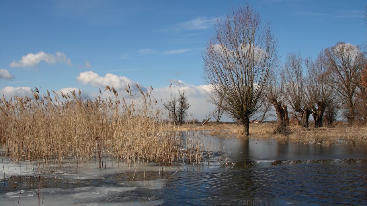 Havel im Winter