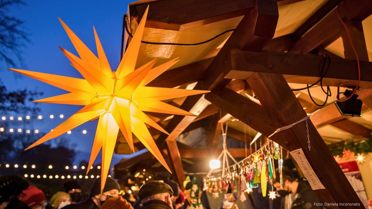 Festive Lights in the Forest Christmas Market