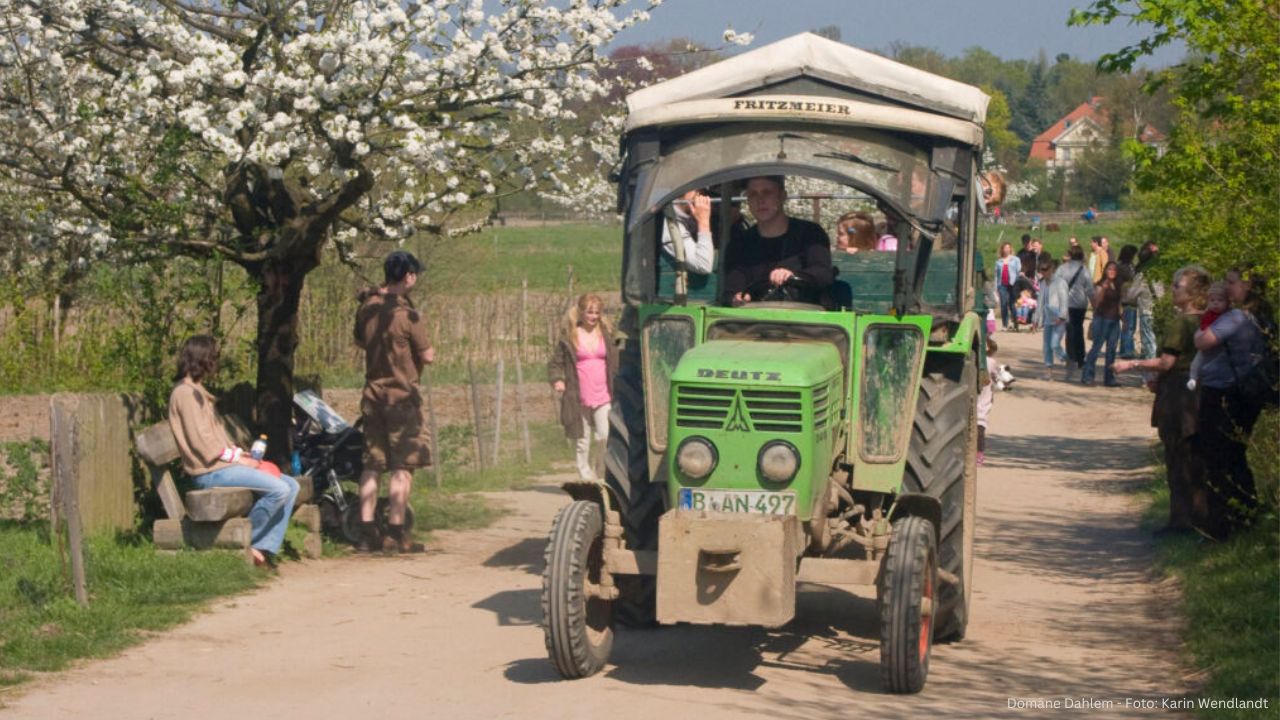 Frühlingsfest Domäne Dahlem