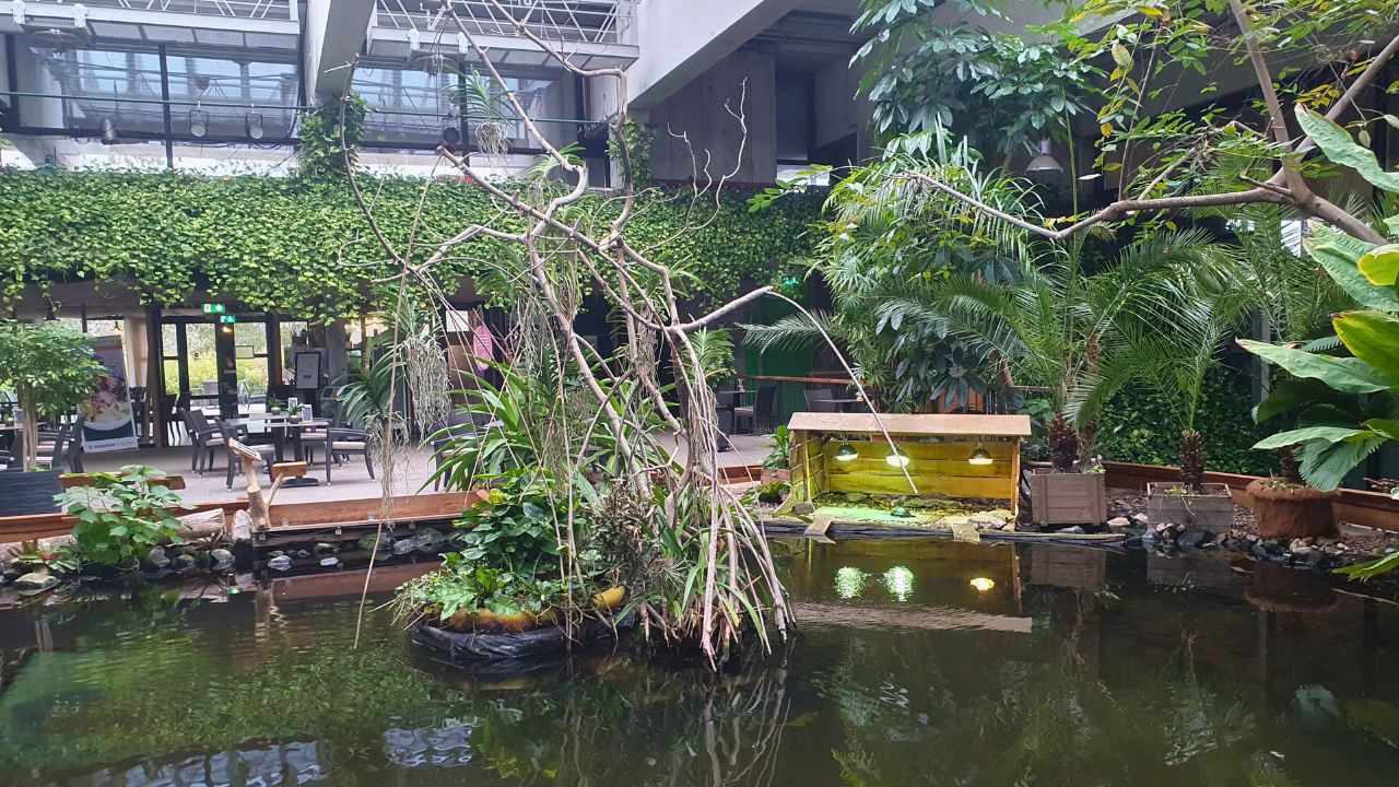 kleiner See in der Biosphäre Potsdam