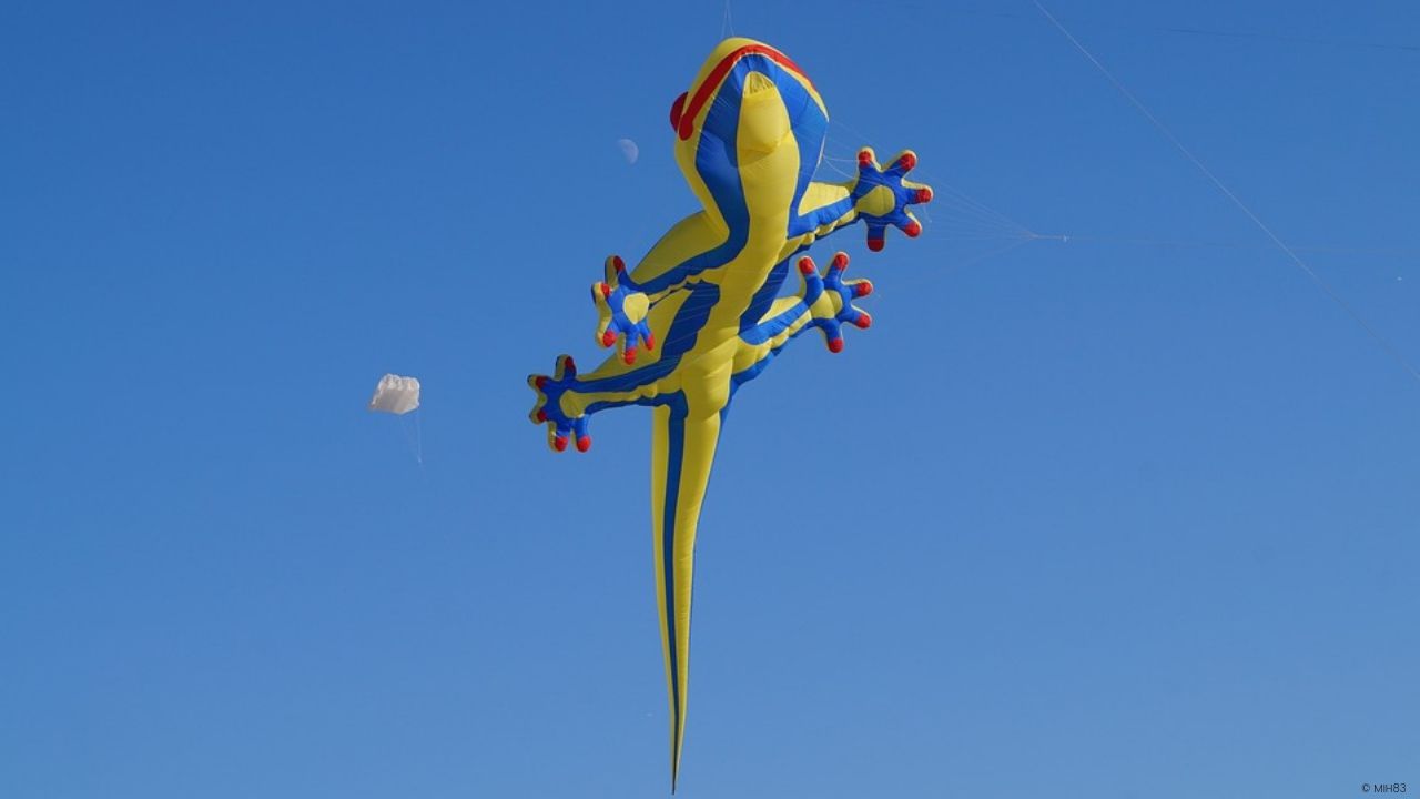 Visit the giant kites on 21.09.2019 in Berlin.