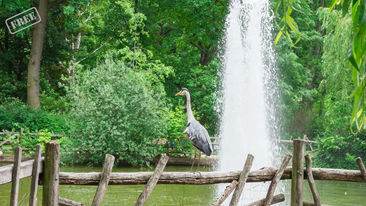 Volkspark Friedrichshain Berlin