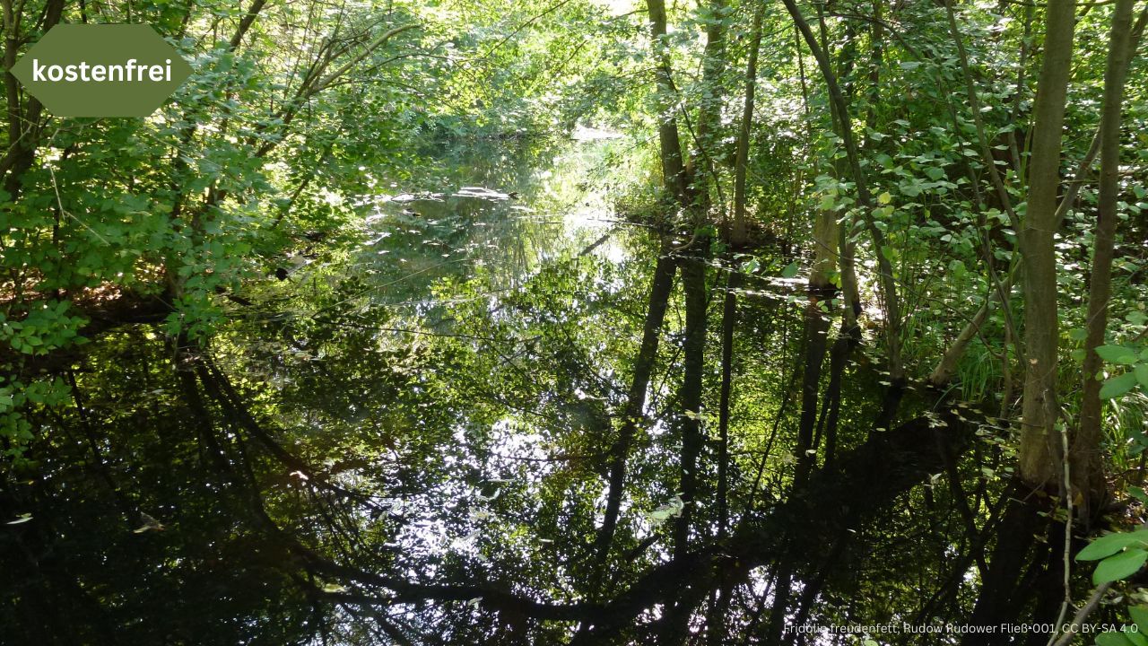 Spaziergang durch das Naturparadies Rudower Fließ