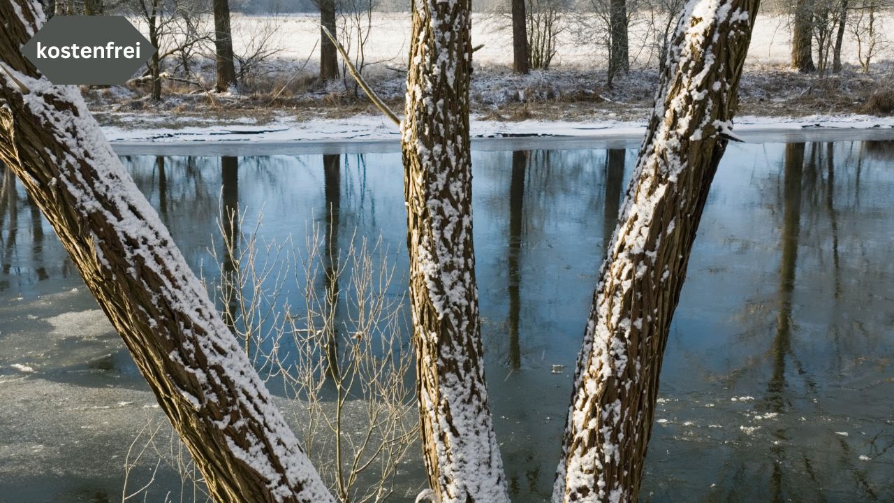 Spaziergang an der Spree