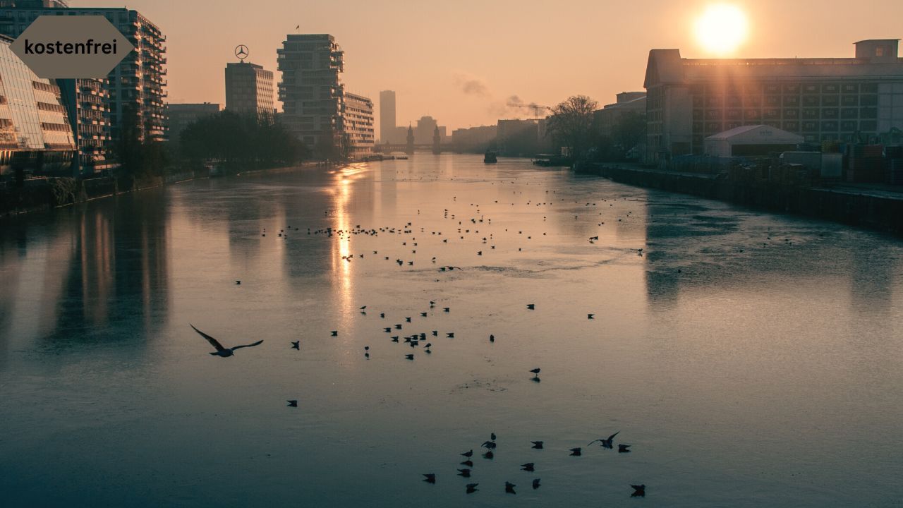 Tiere im Winter an und auf der Spree